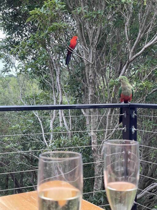 Blue Mountains Charm With Spa! Wentworth Falls
