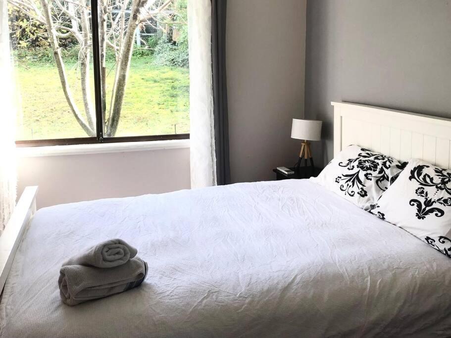 Blue Mountains Charm With Spa! Wentworth Falls